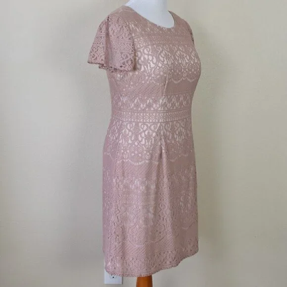 Adrianna Papell Lace Overlay Cap Sleeve Dress - Picture 7 of 8